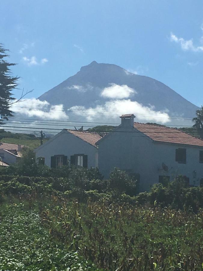 Home Pico - Casa Dos Cedros Criacao Velha Exteriör bild